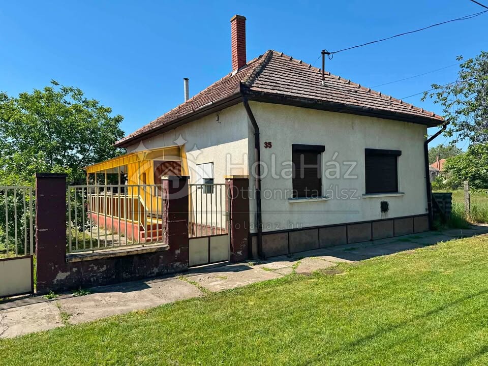 Ház