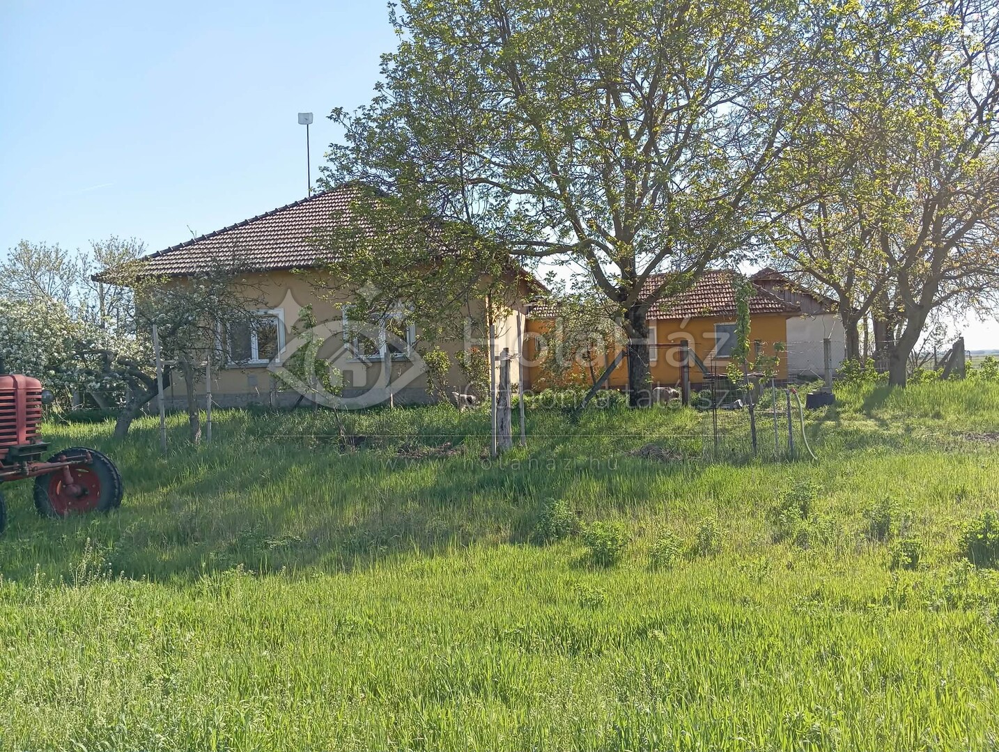 Ház