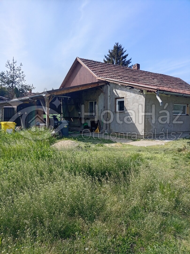 Ház