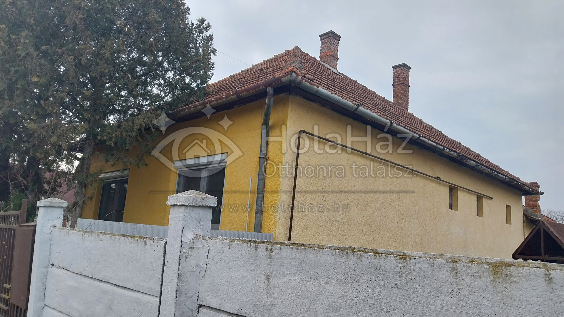 Ház