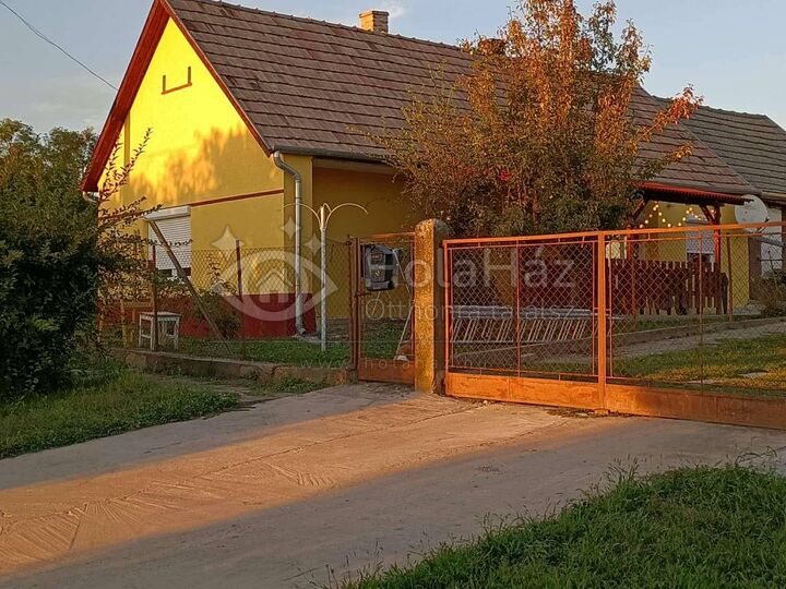 Ház