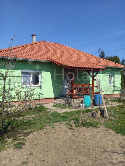 Ház
