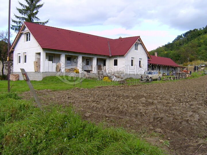 Ház
