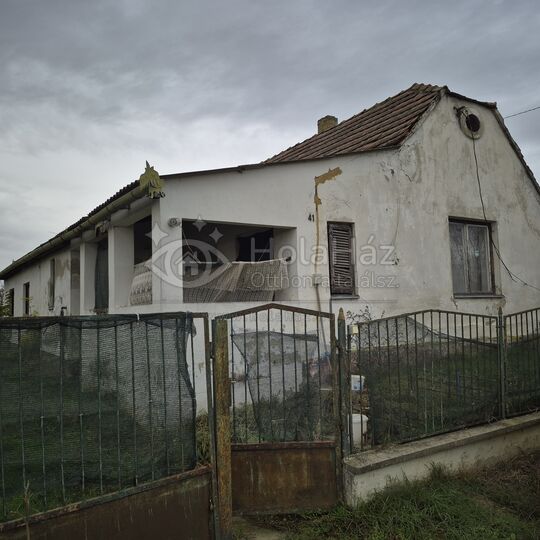 Ház