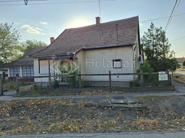 Ház