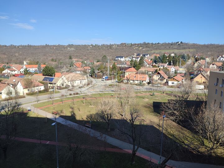 Telek