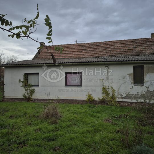 Ház