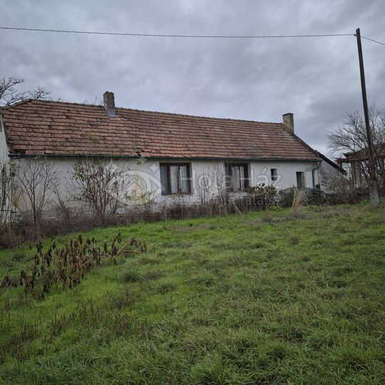 Ház