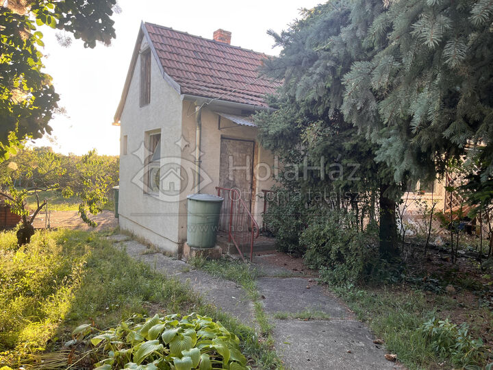 Ház