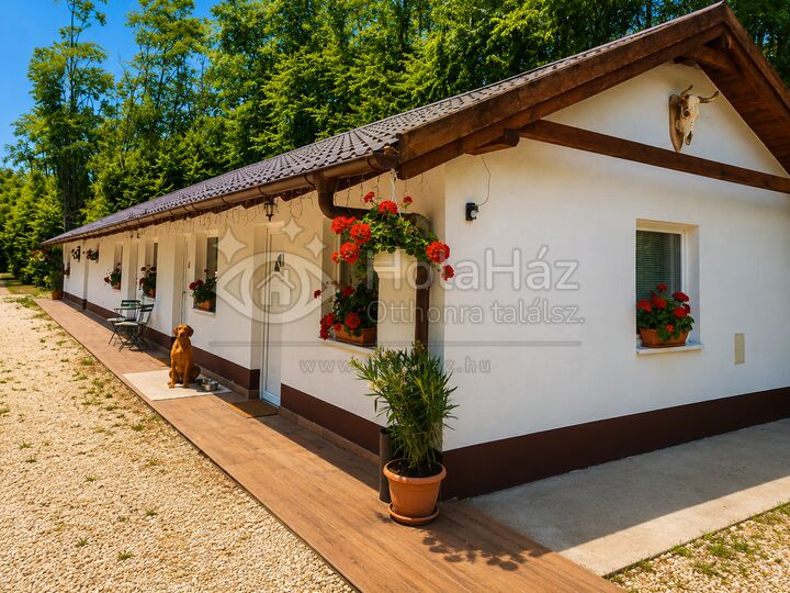 Ház