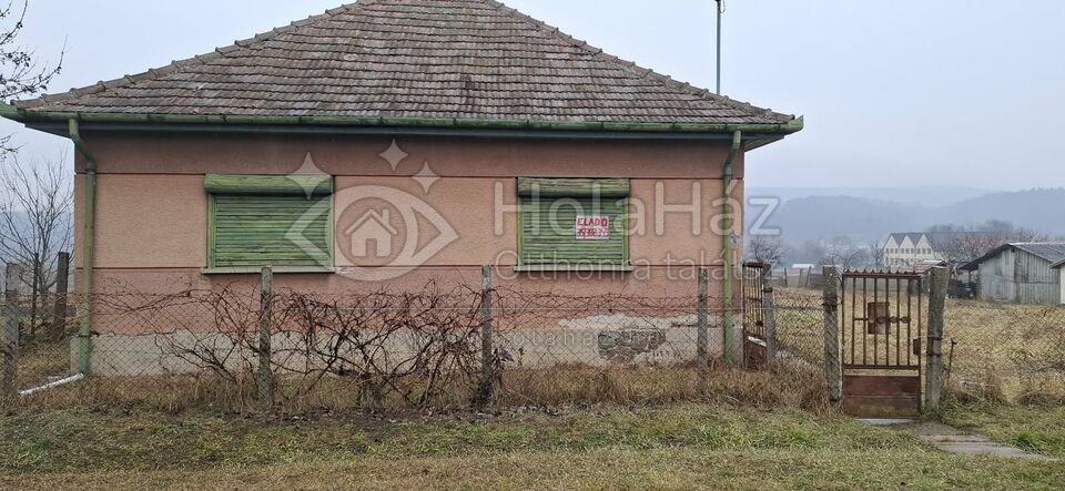 Ház
