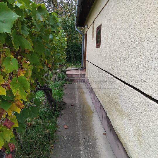 Udvar