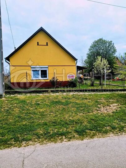 Ház