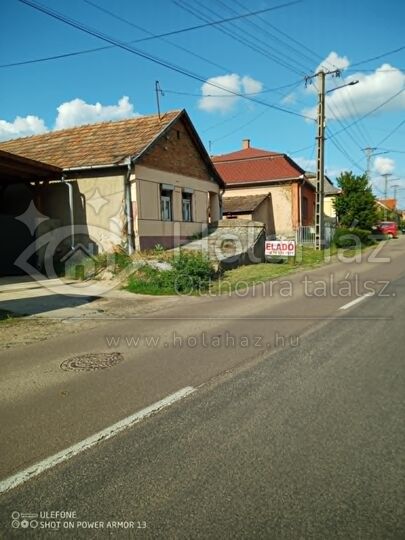 Ház