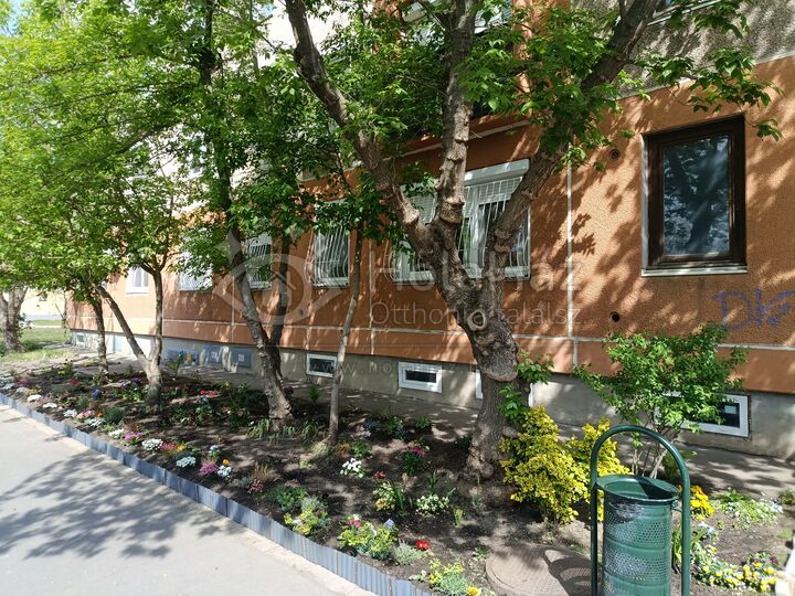 Kert