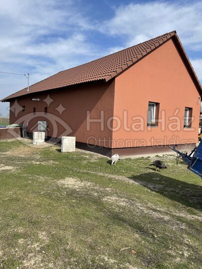Ház