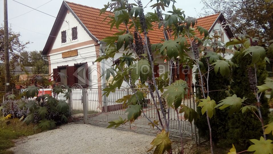 Ház