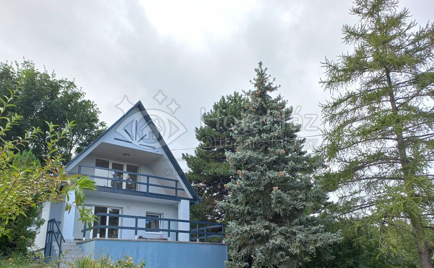 Ház